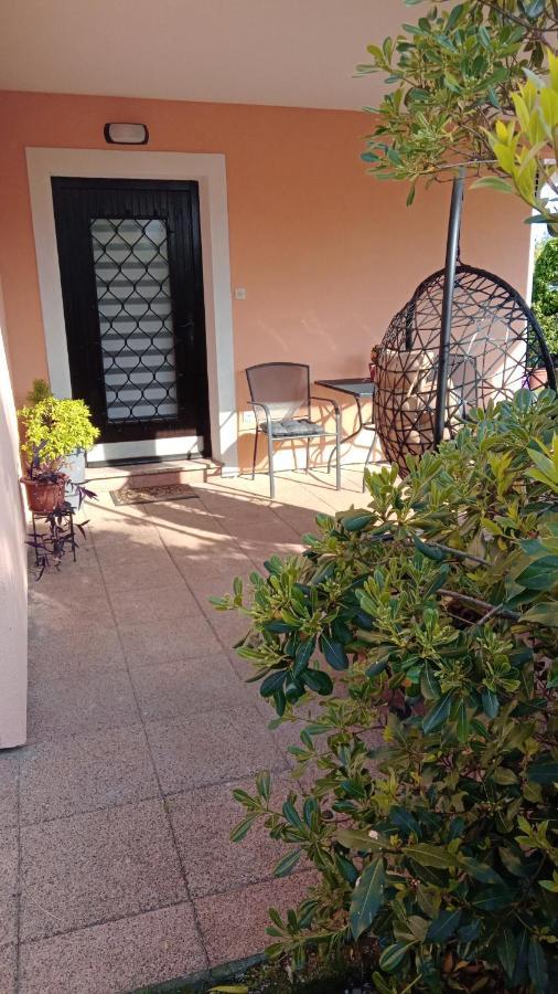 לאבין Apartments Radovic מראה חיצוני תמונה